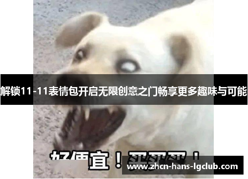 解锁11-11表情包开启无限创意之门畅享更多趣味与可能